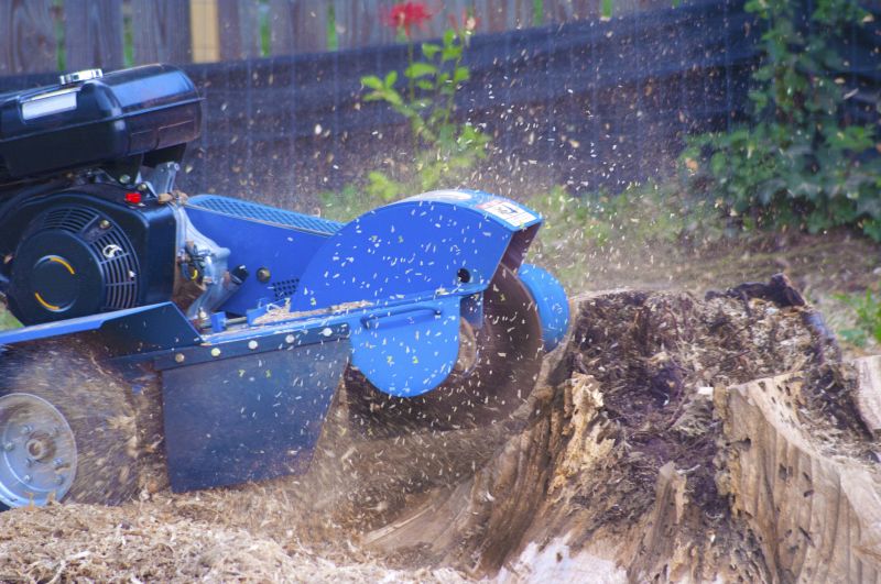 Commercial Stump Grinding in Doylestown, PA