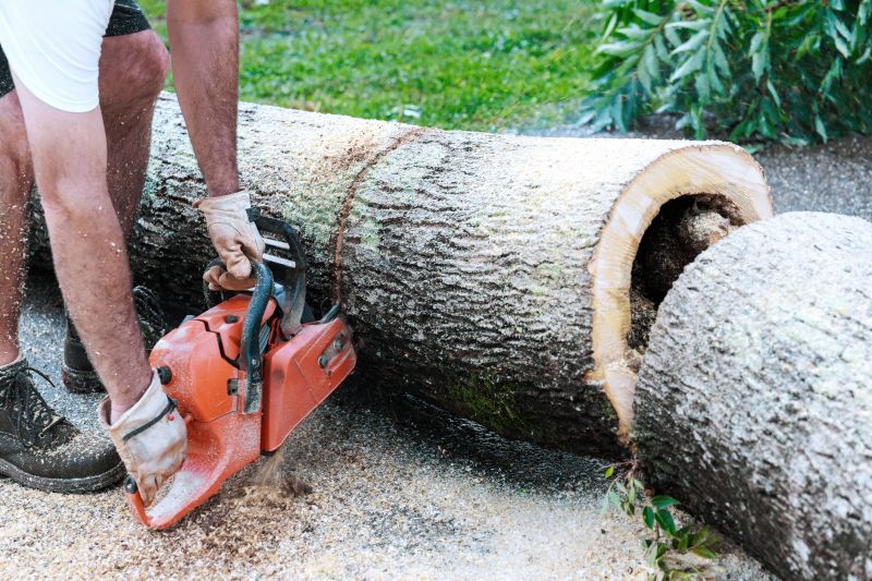 Commercial Tree Removal in Doylestown, PA