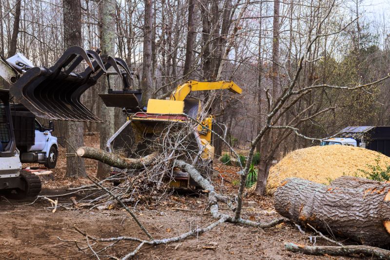 Dogwood Tree Removal in Montgomery County, PA