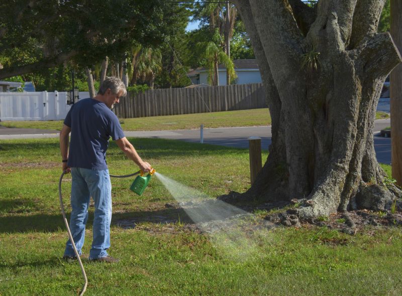 Garden Deweeding in Honolulu, HI