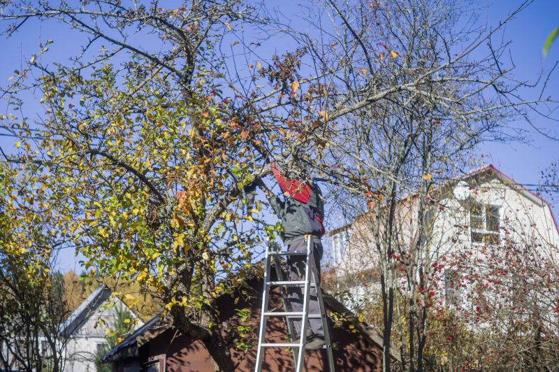 Residential Tree Service in Aiken, SC