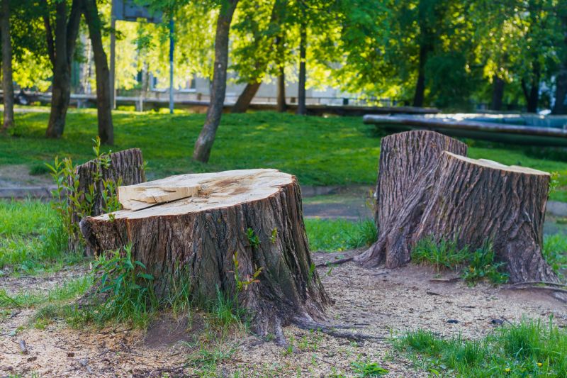 Stump Cutting in Aiken, SC