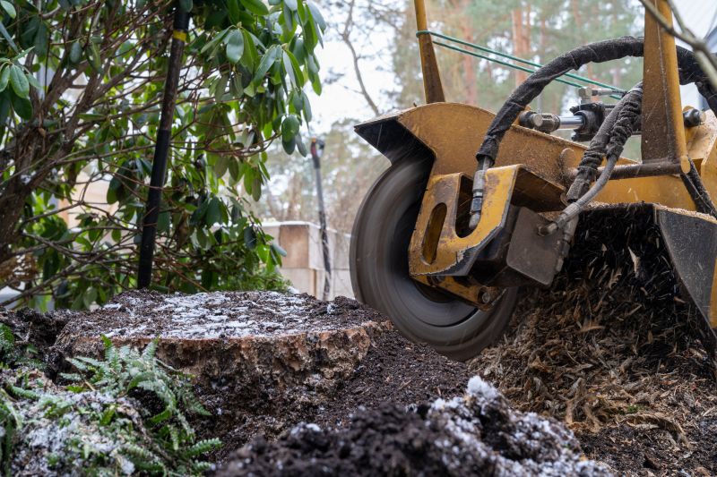 Stump Grinding Service in Aiken, SC