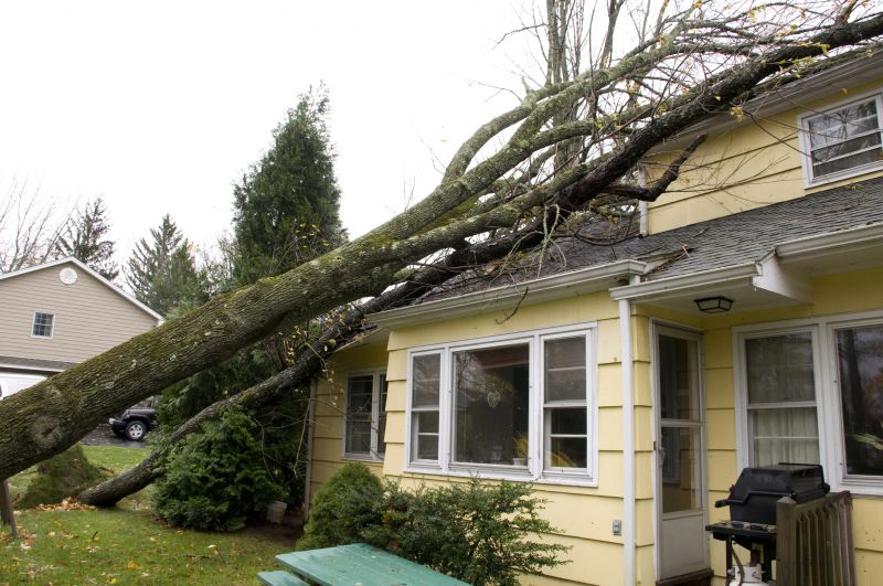Storm Damage Cleanup